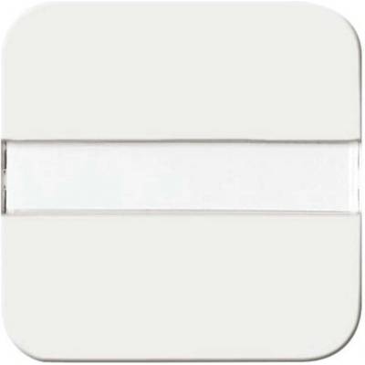 Busch-Jaeger 2CKA001731A1452