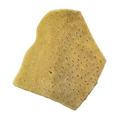 Mořská houba, přírodní - plochá 2 ks - 7 cm