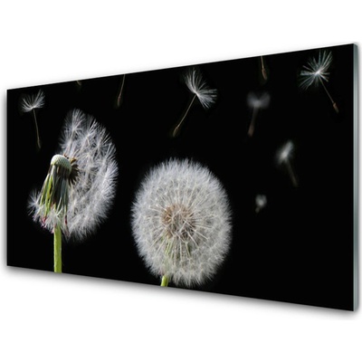 Obraz na skle Pampeliška 100x50 cm