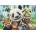 Anatolian - Puzzle Robinson: Selfie Zoo - 500 piese