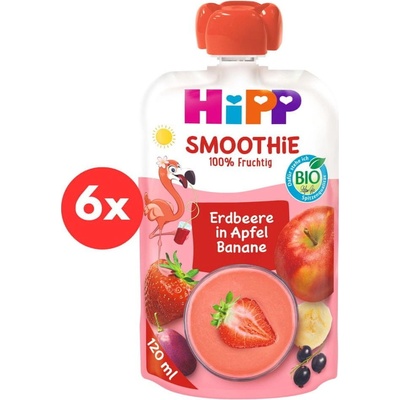 HiPP Bio Smoothie jablko Banán Červené ovocie 6 x 120 ml