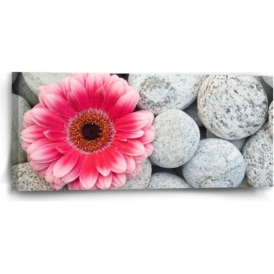 Sablio Obraz Gerbera na kameňoch - 110x50 cm