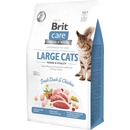 Brit Care Cat Grain-Free Large cats Power & Vitality 0,4 kg