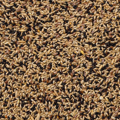 Deli Nature 53 Canaries Extra 4 kg