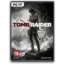 Tomb Raider (Survivor Edition)