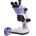 MAGUS Stereo D9T (83044)