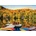 EUROGRAPHICS - Puzzle Lakeside Cottage, Quebec City - 1 000 piese