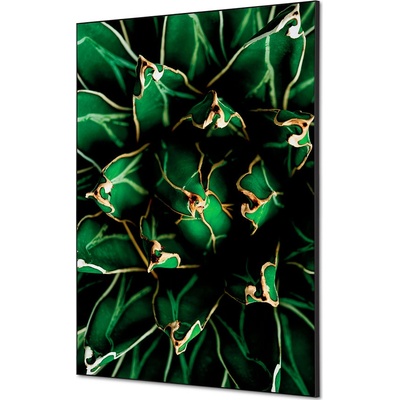 Jansen Display Textilní dekorace na zeď A1 Cactus zelená, 594 x 841 mm