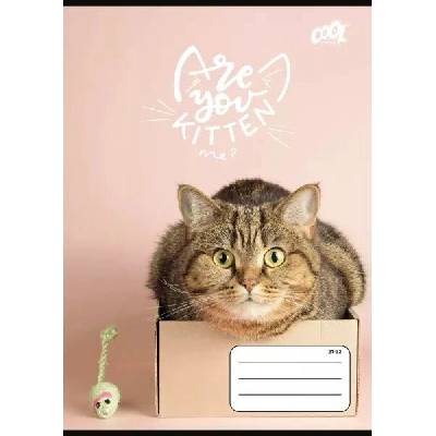 Cool by Victoria Cats Forever linkovaný sešit A5 více motivů