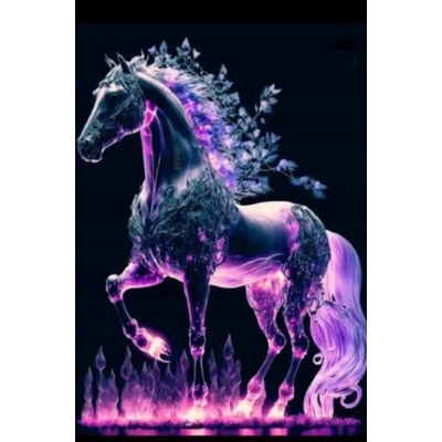 NORIMPEX Diamantové malování Duch koně 30 x 40 cm – Zbozi.Blesk.cz