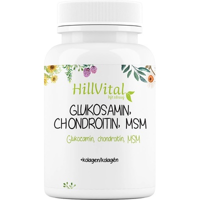 HillVital Glukosamin, Chondroitin, MSM 60 ks