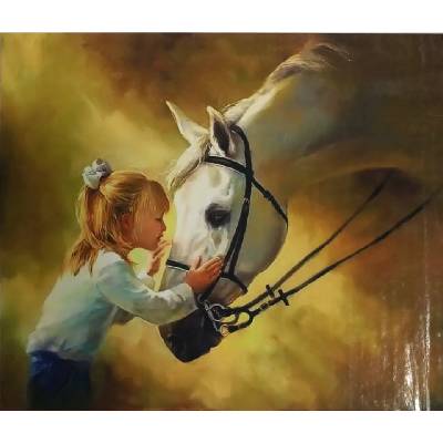Malovaní na plátno podle číse Kůň s dívkou