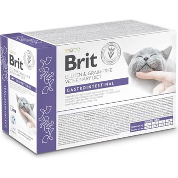 Brit VD Cat Fillets in Gravy Gastrointest 12 x 85 g