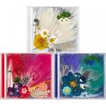 Daniel Shopping s. r. o Tae Yang (Big Bang): White Night - CD (037123)