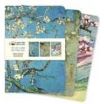 Flame Tree Publishing Vincent van Gogh: Blossom Set of 3 Midi Notebooks | Flame Tree Publishing