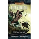Meč Chaosu