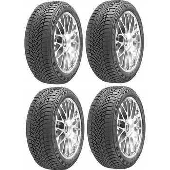 Maxxis WP6 Premitra Snow 225/45 R19 96V