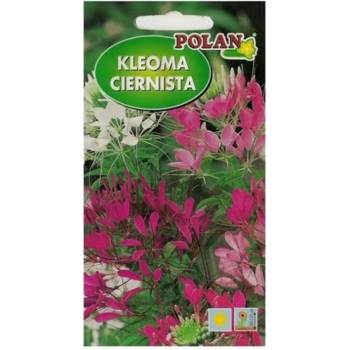 Cleome tŕnistá – mix semienok 1 g