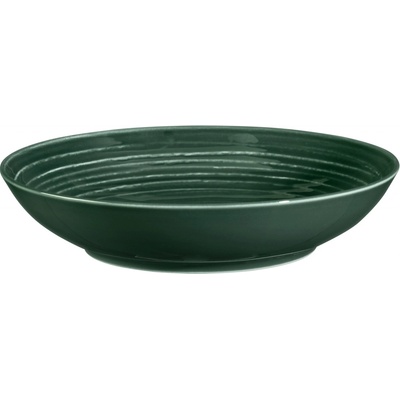 Seltmann Weiden Hluboký talíř 21 cm TERRA zelená