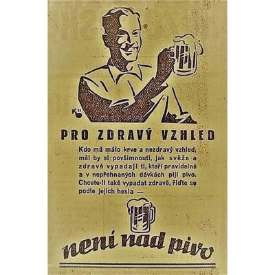 Pro zdravý vzhled - není nad pivo - ceduľa 30cm x 20cm Plechová tabuľa