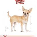 Granule pre psov Royal Canin Chihuahua Adult 0,5 kg