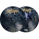 Suffocation Pierced From Within Picture LP