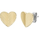 Fossil náušnice JF04654710