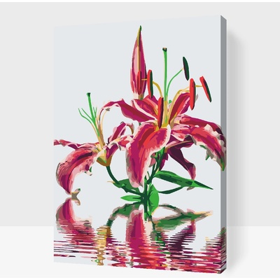 Vymalujsisam Malování podle čísel Růžová lilie