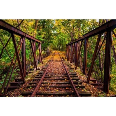 DIMEX ART Флизелинов фототапет железопътна линия в гората 375 x 250 см