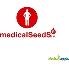 Medical Seeds Co. Eboshi CBG semena neobsahují THC 3 ks