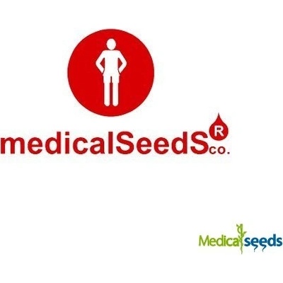 Medical Seeds Co. Eboshi CBG semena neobsahují THC 3 ks