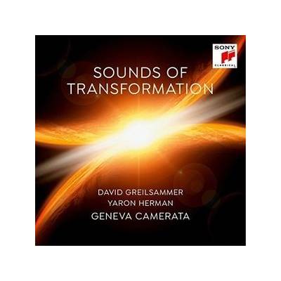 GREILSAMMER DAVID: SOUNDS OF TRANSFORMATION CD