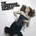 Super Extra Gravity - The Cardigans LP