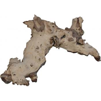 Lucky Reptile Mopani Wood 15–30 cm
