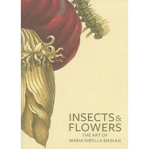 Insects and Flowers - The Art of Maria Sibylla Merian | David Brafman (ISBN: 9780892369294)