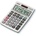 Casio MS 100 TV