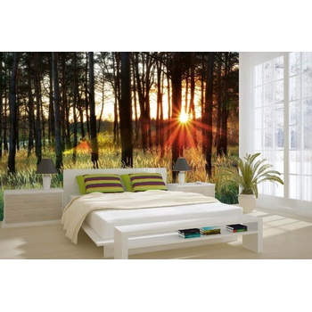 DIMEX ART s. r. o Самозалепваща се флизелинова фототапета лъчи в гората ii. 375 x 250 см