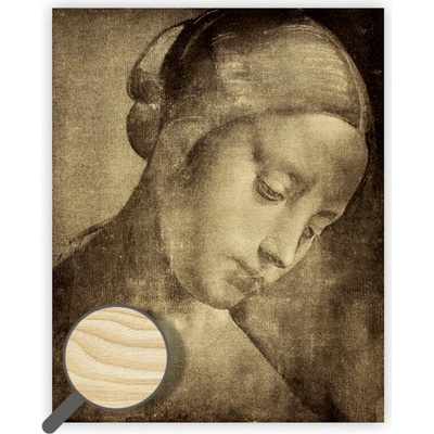 Drevený obraz Da Vinci