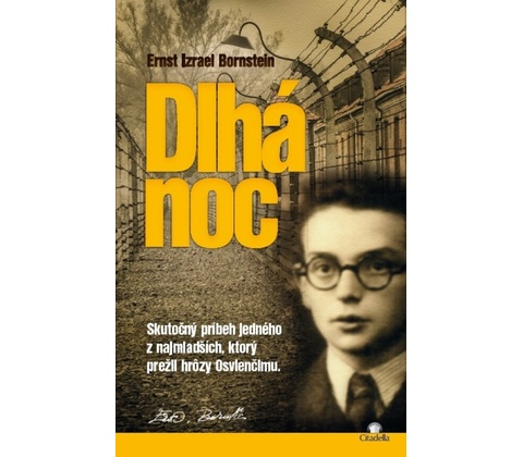 Dlhá noc