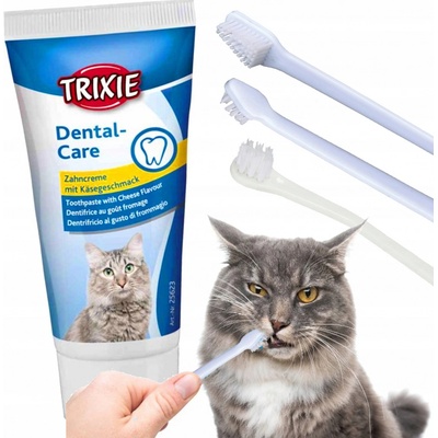 TRIXIE Sada dentální hygieny pro kočky pasta se sýrovou příchutí 50 g dva zubní kartáčky – Zboží Mobilmania