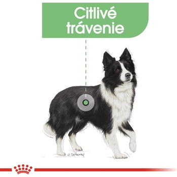 Royal Canin Medium Digestive Care 10 kg