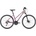Kellys Pheebe 70 2024