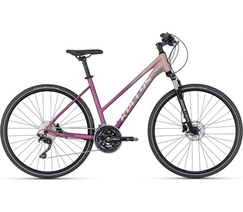 Kellys Pheebe 70 2024