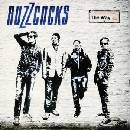 Buzzcocks - The Way LP