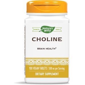 Nature's Way Choline, 500 mg, 100 таблетки, Nature’s Way