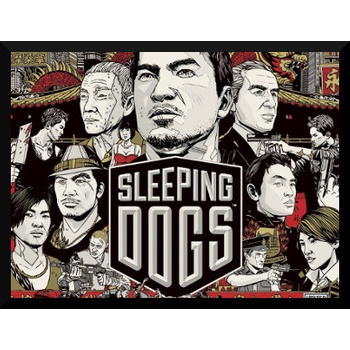 Sleeping Dogs