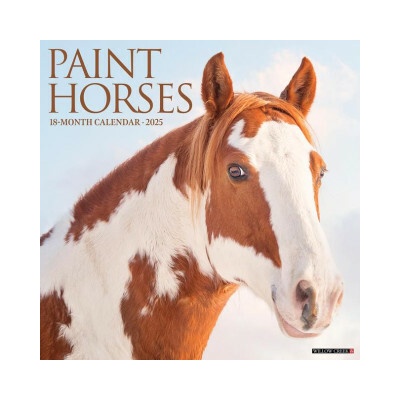 Paint Horses 12 X 12 Wall 2026