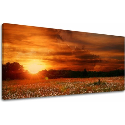 Obraz na stenu PANORÁMA KRAJINA - 40x80 cm