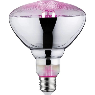Paulmann LED lampa pre rast rastlín 230 V E27 6.5 W jantár 1 ks; 28737