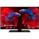 GoGEN TVF 22P406